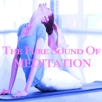 Relax Meditate Sleep, Spiritual Fitness Music and Meditation Relaxation Club - The Pure Sound of Meditation