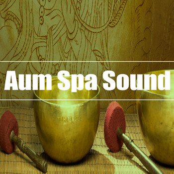 Kundalini Yoga Music, Asian Zen and The New Age Meditators - Aum Spa Sound