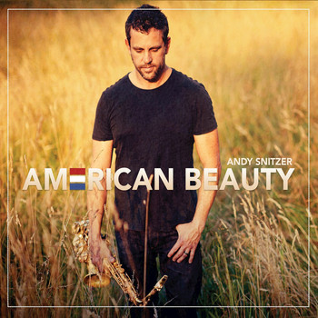 Andy Snitzer - American Beauty