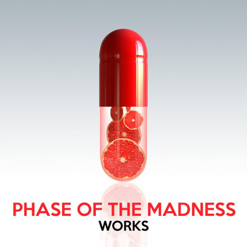 Phase Of The Madness - Phase of the Madness Works