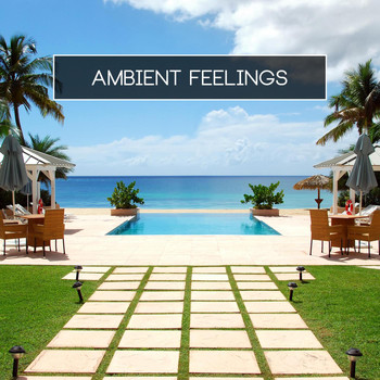 Various Artists - Ambient Feelings