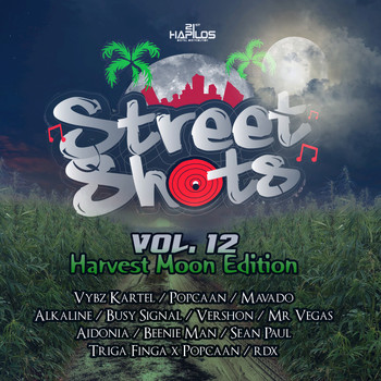 Various Artists - Street Shots Vol. 12 (Harvest Moon Edition)