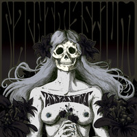 Nachtmystium - Assassins: Black Meddle, Pt. I