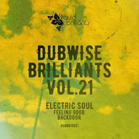 Electric Soul - Dubwise Brilliants, Vol. 21