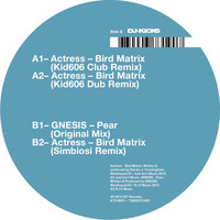 Actress - Bird Matrix (Remixes)