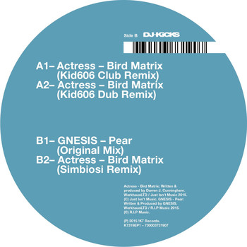 Actress - Bird Matrix (Remixes)