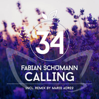 Fabian Schumann - Calling