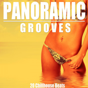 Various Artists - Panoramic Grooves (20 Chillhouse Beats)
