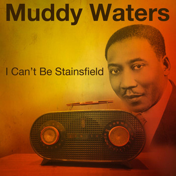 Muddy Waters - I Can't Be Staisfield