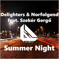 Delighters & Norfolgend feat. Szeker Gergo - Summer Night