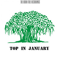 Amerov David - Top in January