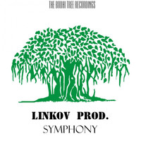 Linkov Prod. - Symphony