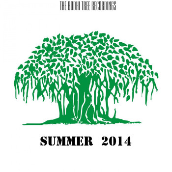 Various Artists - Summer 2014