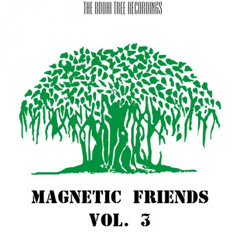 Vitaly Panin - Magnetic Friends, Vol. 3