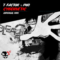 T-Factor & PhD - Cybernetic