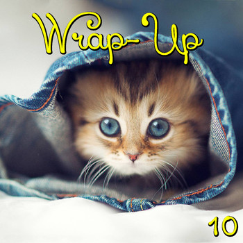 Various Artists - Wrap-Up, Vol.10