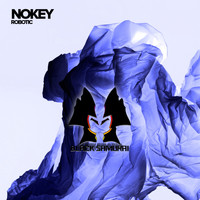NoKey - Robotic