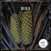 Delta X - Some Hauz EP