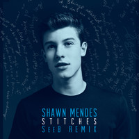 Shawn Mendes - Stitches (Seeb Remix)