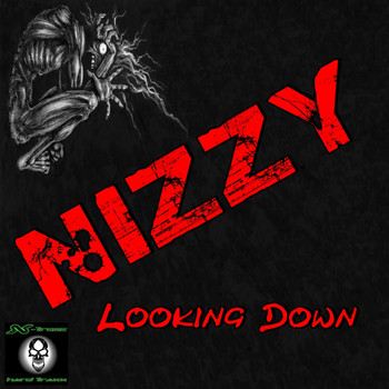 Nizzy - Looking Down