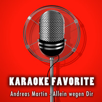 Anna Gramm - Allein wegen Dir (Karaoke Version) [Originally Performed By Andreas Martin]