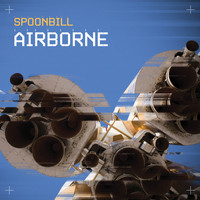 Spoonbill - Airborne