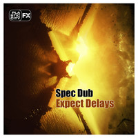 Specdub - Expect Delays