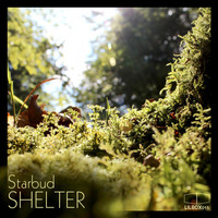 Starbud - Shelter