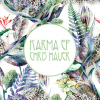 Chris Hauer - Karma - EP