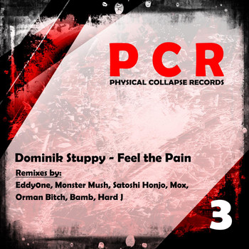 Dominik Stuppy - Feel the Pain