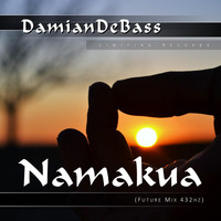 DamianDeBASS - Namakua (Future Mix 432Hz)