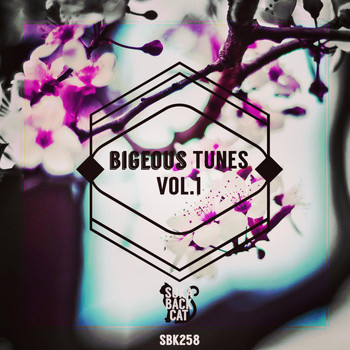 Various Artists - Bigeous Tunes, Vol. 1