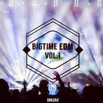 Various Artists - Bigtime EDM, Vol. 1