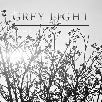 Various Artists - Grey Light, Vol. 5