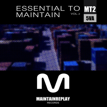 Various Artists - Essential To Maintain, Vol.2