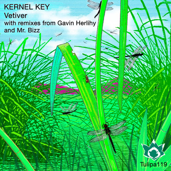 Kernel Key - Vetiver