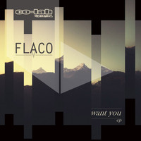 Flaco - Want You EP