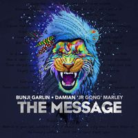 Bunji Garlin - The Message (feat. Damian Marley)