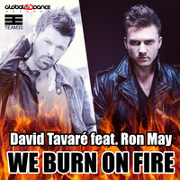 David Tavaré - We Burn on Fire