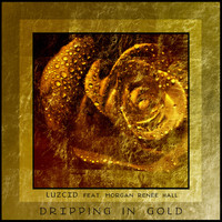 LUZCID - Dripping in Gold (feat. Morgan Renée Hall) - Single
