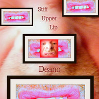 Deano - Stiff Upper Lip