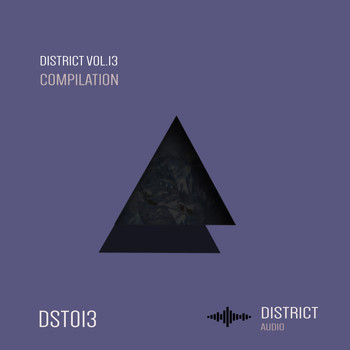 Various Artists - District 13