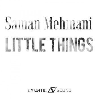 Saman Mehmani - Little Things