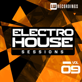 Various Artists - Electro House Sessions, Vol. 9