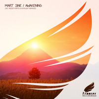 Mart Sine - Awakening