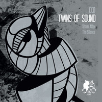 Twins of Sound - Storm After The Silence
