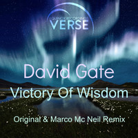 David Gate - Victory Of Wisdom