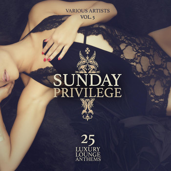 Various Artists - Sunday Privilege, Vol. 5 (25 Luxury Lounge Anthems)