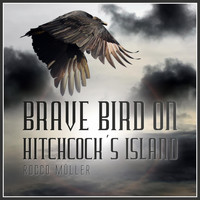 Rocco Müller - Brave Bird on Hitchcock's Island