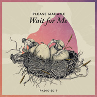 Please Madame - Wait for Me (Radio Edit)
